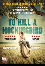 To Kill A Mockingbird theatre poster by Damien Frost