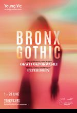 Bronx Gothic theatre poster by Damien Frost
