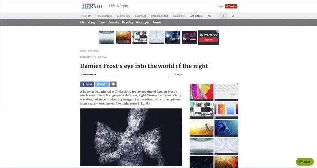 Newcastle Herald Damien Frost profile